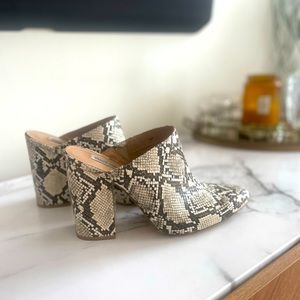 Steve Madden Snakeskin Mule